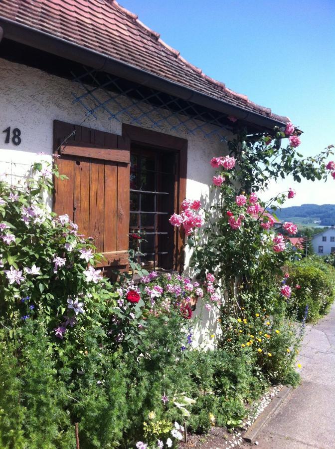 Micro-Apartment In Seenaehe Fusslaeufig Zum See:)) 厄赫宁根 外观 照片